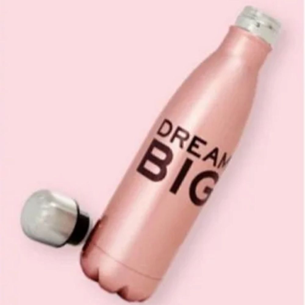 Dream  big water bottle
